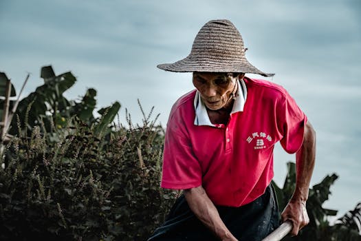 金融监管总局、财政部、农业农村部、中国人民银行发布关于做好帮扶小额信贷工作的通知 新闻