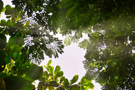 秸秆焚烧难题待破解；法典草案给出科学路径，综合利用迎来新机遇。 新闻