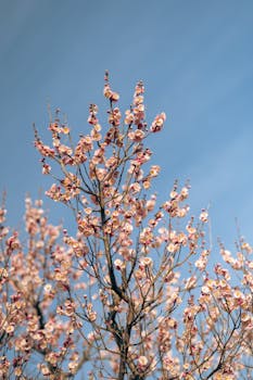 新药研发迎来关键节点，HRS9531注射液针对慢性肾脏病获准启动临床。 健康养生