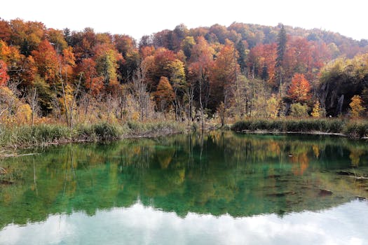  埃克森美孚董事会一致推动注册地变更；得州商业环境更契合能源巨头需求。 股票财经 埃克森美孚董事会一致推动注册地变更；得州商业环境更契合能源巨头需求。 股票财经 埃克森美孚董事会一致推动注册地变更；得州商业环境更契合能源巨头需求。 股票财经 埃克森美孚董事会一致推动注册地变更；得州商业环境更契合能源巨头需求。 股票财经 埃克森美孚董事会一致推动注册地变更；得州商业环境更契合能源巨头需求。 股票财经