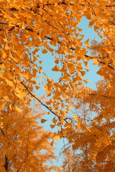  豆神教育董事会动作频仍，唐颖补选非独立董事；章程修订取消副董事长，临时股东大会即将审议通过。 股票财经 豆神教育董事会动作频仍，唐颖补选非独立董事；章程修订取消副董事长，临时股东大会即将审议通过。 股票财经 豆神教育董事会动作频仍，唐颖补选非独立董事；章程修订取消副董事长，临时股东大会即将审议通过。 股票财经