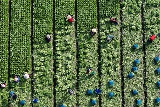 人口变动新趋势显现；四川常住人口下降引发关注；专家给出深度解读。