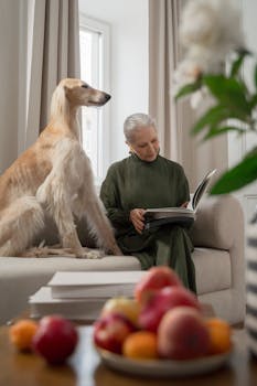  中度以上失能老年人迎来政策暖流；消费补贴打破户籍界限；适老化服务体系逐步完善。 健康养生