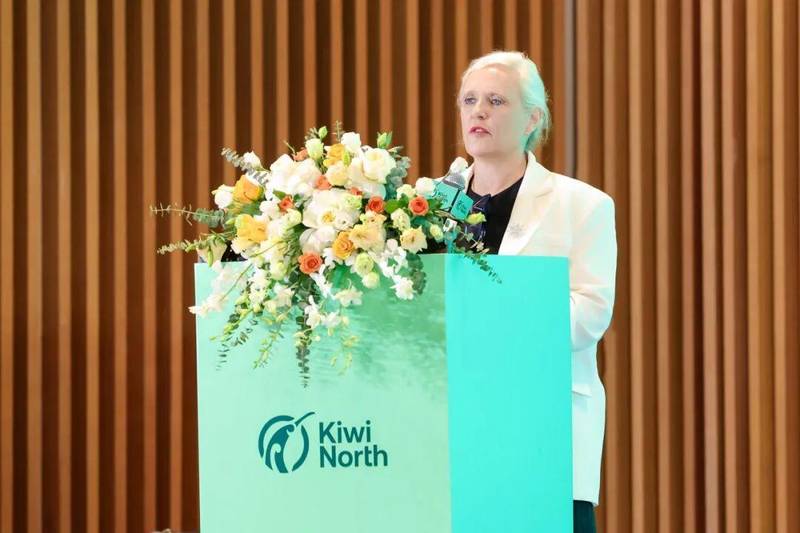  寻找远方的精神归宿：新西兰北岛的灵魂觉醒之旅 文化旅游