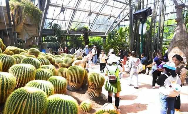  短途游为何成为市场新风口：解析假期消费的内核演变 企业服务