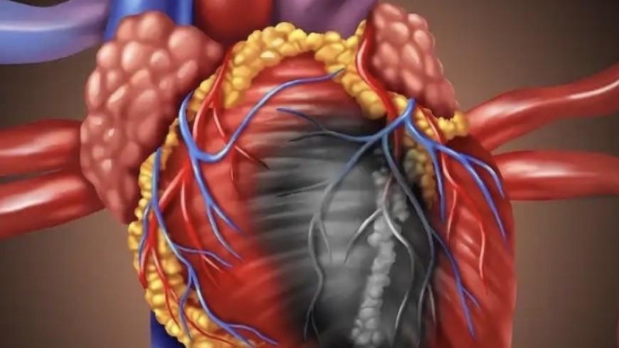  《40岁，他倒在了创业第十六年——关于压力与心脏，你必须知道的事》 健康养生
