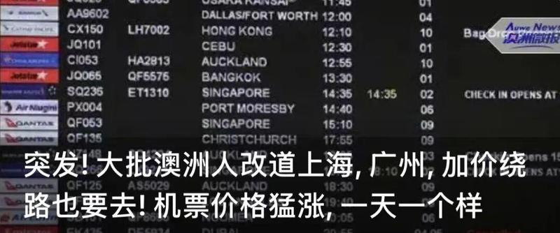  【深度】澳洲货运行业签证风暴：ABF联合执法机制与违规查处的系统性解析 新闻