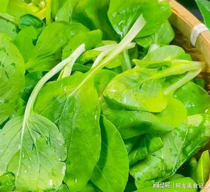  清明祭祖那顿饭，差点毁在买菜上：来自邻村老菜农的忠告 新闻