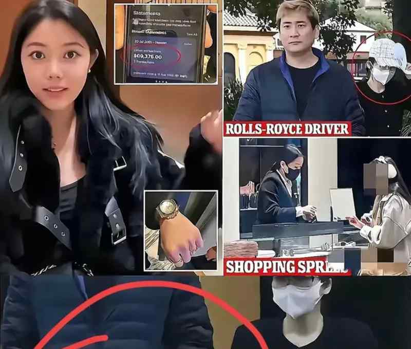  技术解构·资产迷雾：深度拆解杨兰兰财富架构与司法程序的技术密码 新闻