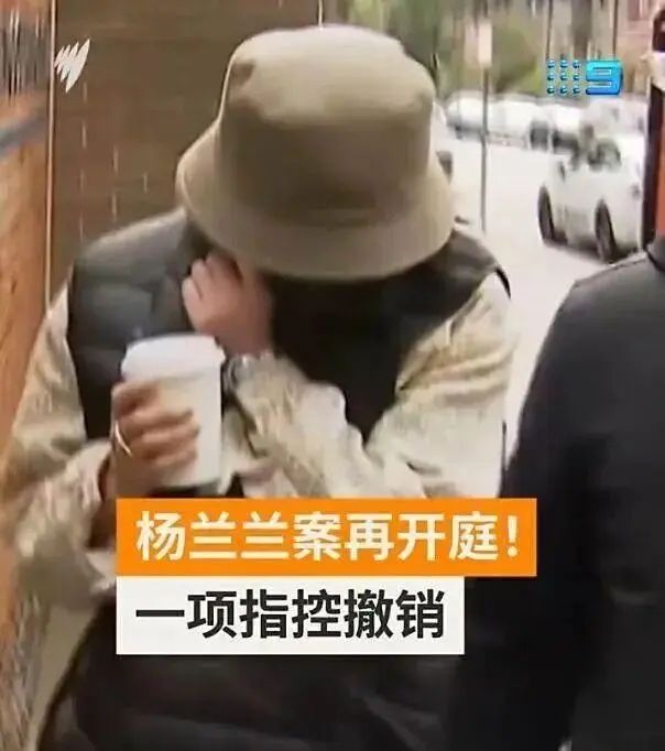  技术解构·资产迷雾：深度拆解杨兰兰财富架构与司法程序的技术密码 新闻