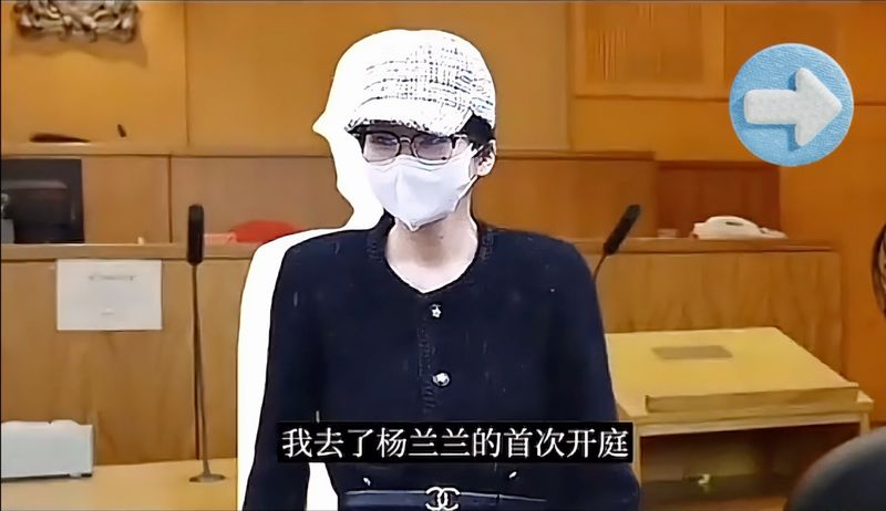  技术解构·资产迷雾：深度拆解杨兰兰财富架构与司法程序的技术密码 新闻