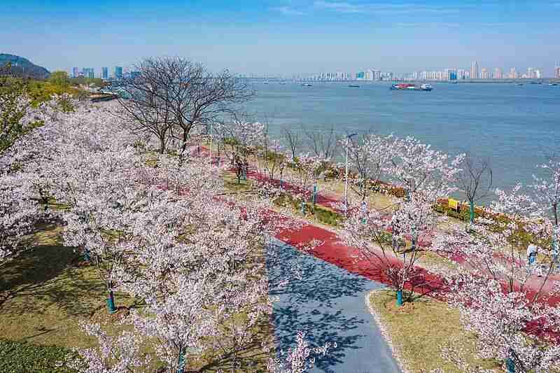  从太仓到启东：解码江苏县域产业的「技术纵深」突破路径 新闻