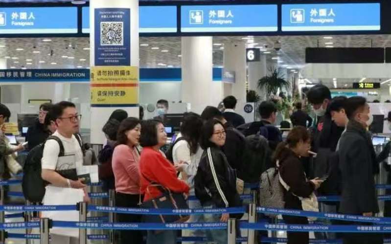  【技术深度】当德国基础理论与深圳工程能力相遇：合成生物化学联合研究中心如何破解DBTL闭环难题 IT技术