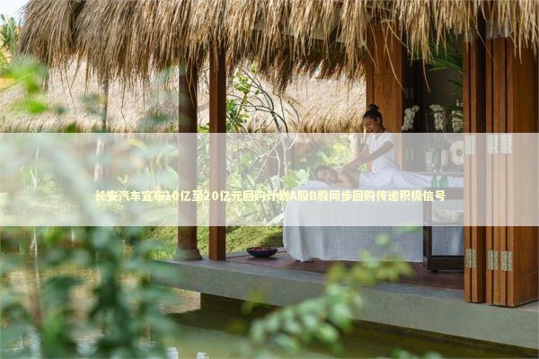 长安汽车宣布10亿至20亿元回购计划A股B股同步回购传递积极信号 新闻