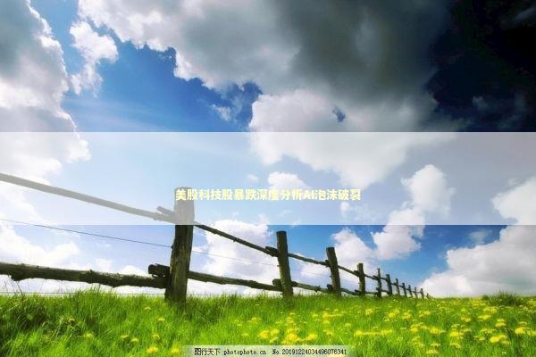 美股科技股暴跌深度分析AI泡沫破裂 新闻