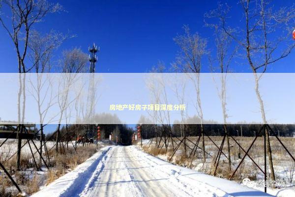 房地产好房子项目深度分析