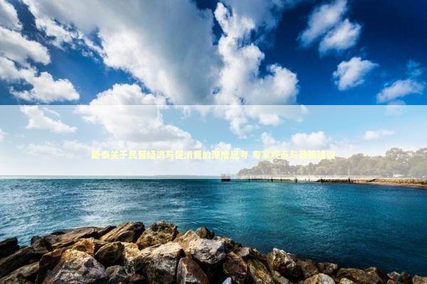 滕泰关于民营经济与促消费的深度思考 专家观点与政策建议