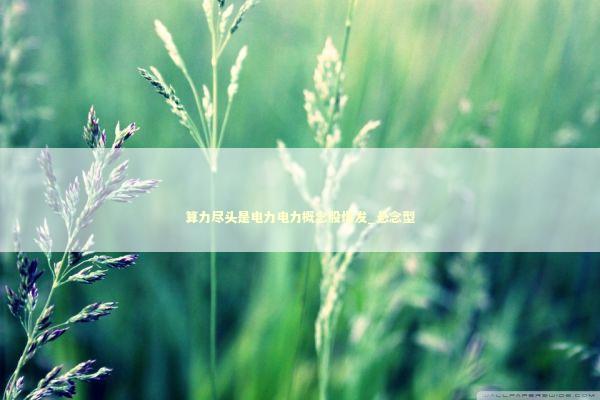 算力尽头是电力电力概念股爆发_悬念型 新闻