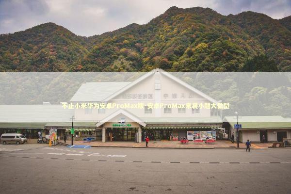 不止小米华为安卓ProMax版-安卓ProMax来袭小题大做型 新闻