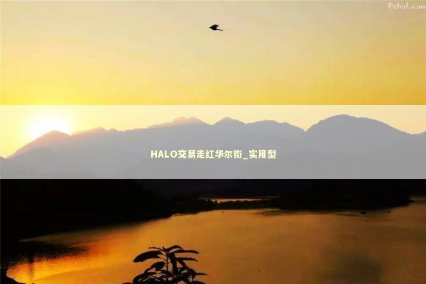 HALO交易走红华尔街_实用型 新闻