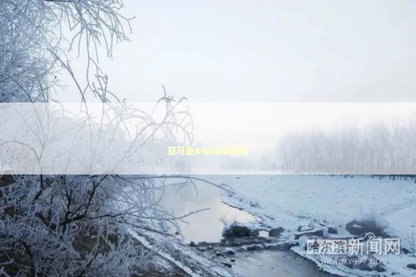 亚马逊AI低成本战略 新闻