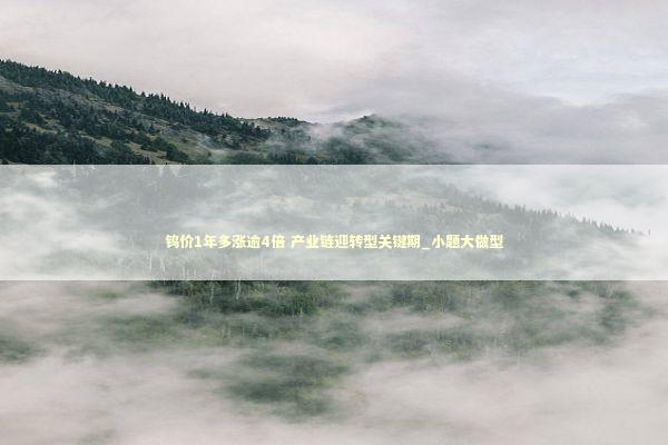 钨价1年多涨逾4倍 产业链迎转型关键期_小题大做型