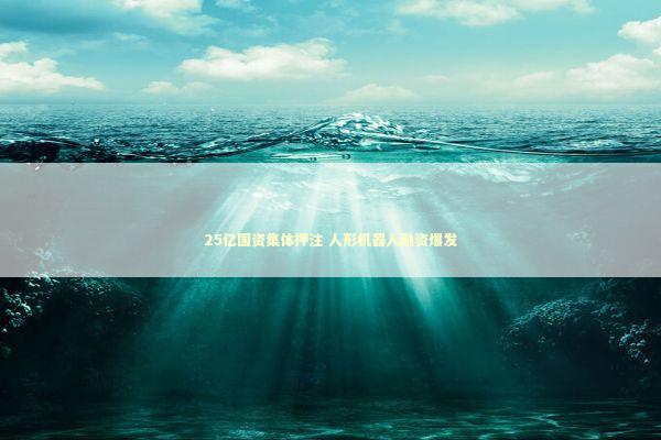 25亿国资集体押注 人形机器人融资爆发 新闻