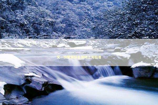 又一核聚变项目落地上海临港 新闻