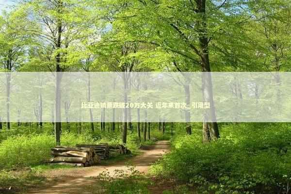 比亚迪销量跌破20万大关 近年来首次_引用型 新闻