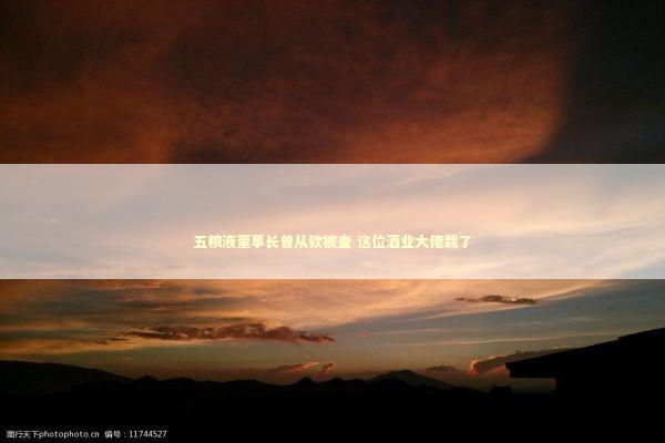 五粮液董事长曾从钦被查 这位酒业大佬栽了 新闻