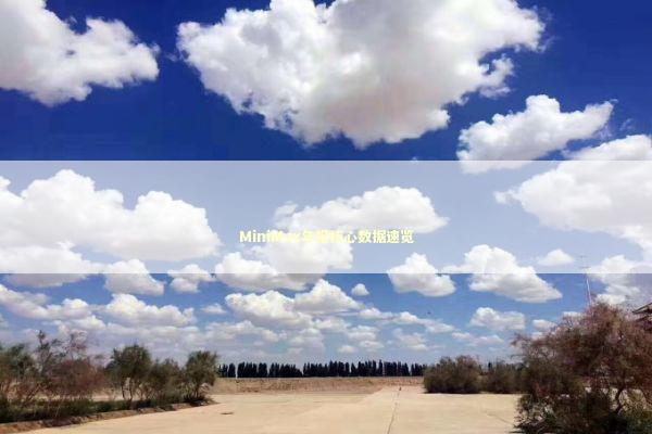 MiniMax年报核心数据速览 新闻