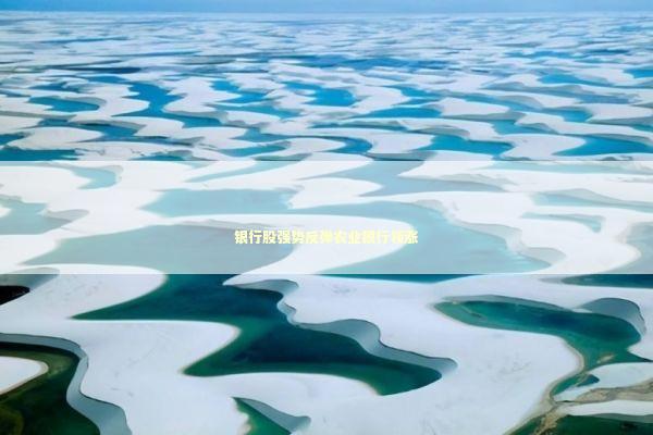银行股强势反弹农业银行领涨 新闻