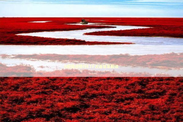 A股回调银行ETF古语智慧解读 新闻