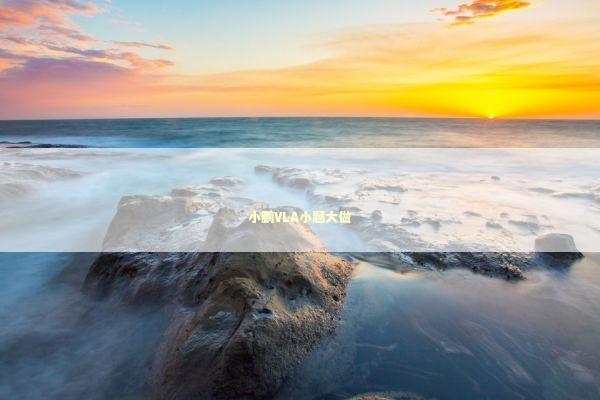 小鹏VLA小题大做 新闻