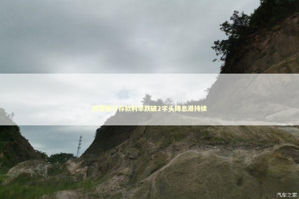 民营银行存款利率跌破2字头降息潮持续