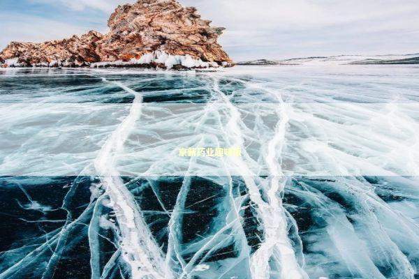 京新药业趣味版 新闻