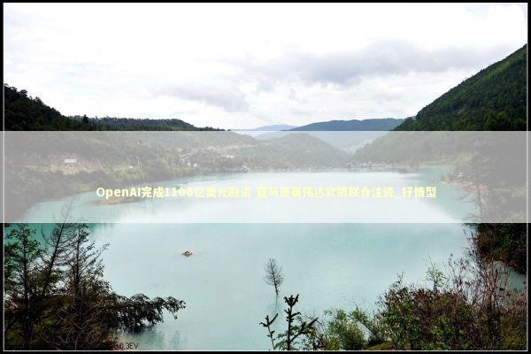 OpenAI完成1100亿美元融资 亚马逊英伟达软银联合注资_抒情型