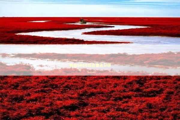 黄金5400投资要点分析 新闻