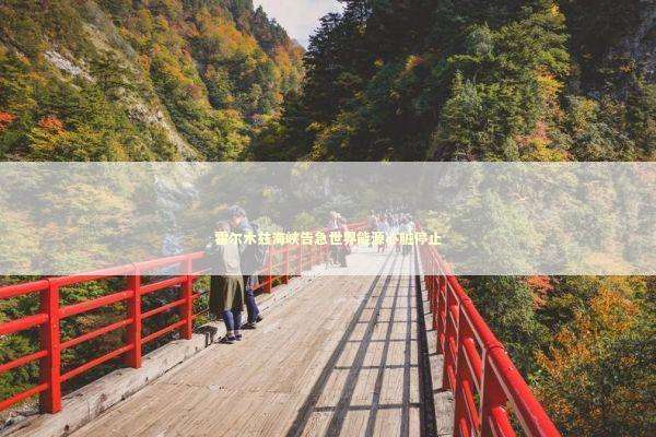 霍尔木兹海峡告急世界能源心脏停止