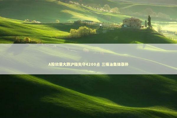 A股放量大跌沪指失守4200点 三桶油集体涨停 新闻