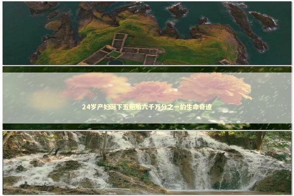 24岁产妇诞下五胞胎六千万分之一的生命奇迹 新闻