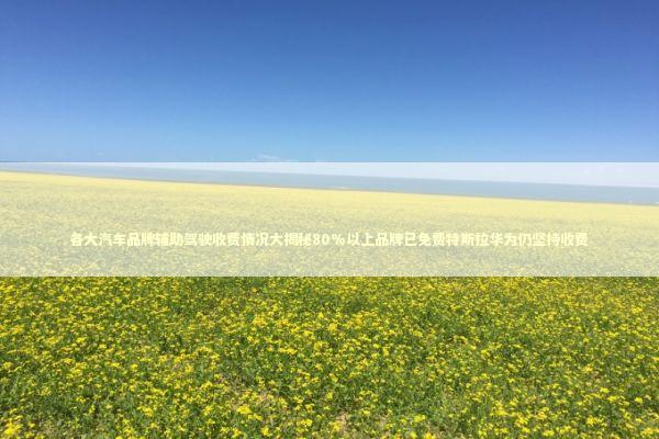 各大汽车品牌辅助驾驶收费情况大揭秘80%以上品牌已免费特斯拉华为仍坚持收费