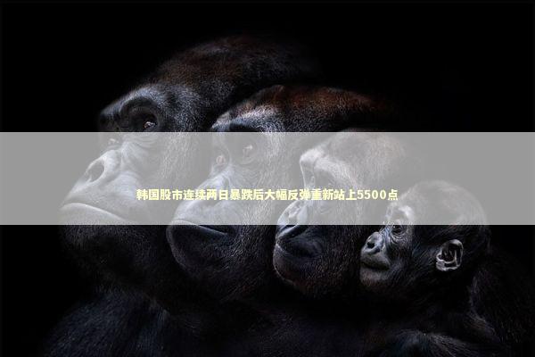 韩国股市连续两日暴跌后大幅反弹重新站上5500点