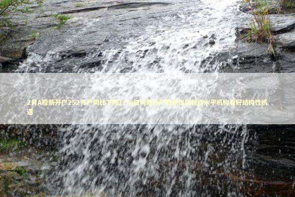 2月A股新开户252万户同比下降11%日均新开户数据维持较高水平机构看好结构性机遇 新闻