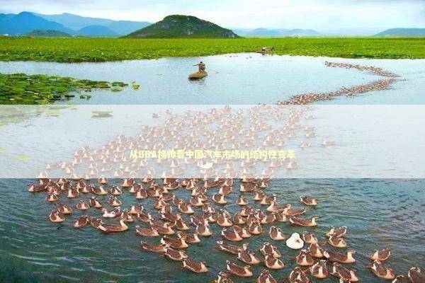 从BBA换帅看中国汽车市场的结构性变革 新闻