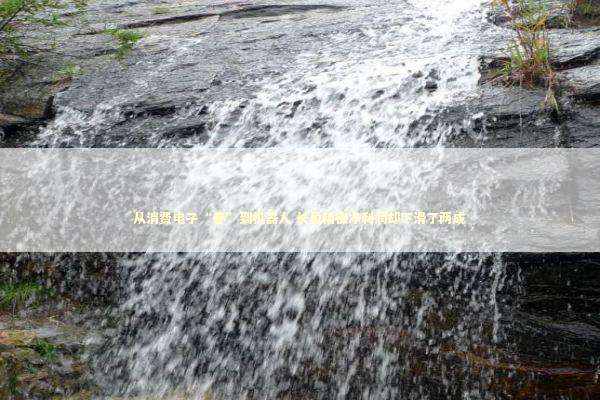 从消费电子“卷”到机器人 长盈精密净利润却下滑了两成 新闻