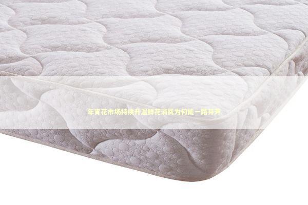 年宵花市场持续升温鲜花消费为何能一路芬芳 新闻