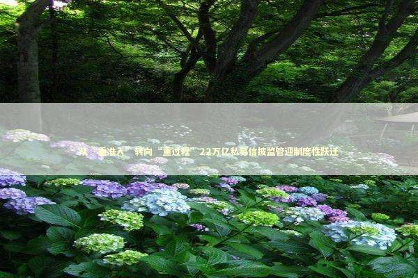 从“重准入”转向“重过程”22万亿私募信披监管迎制度性跃迁 新闻