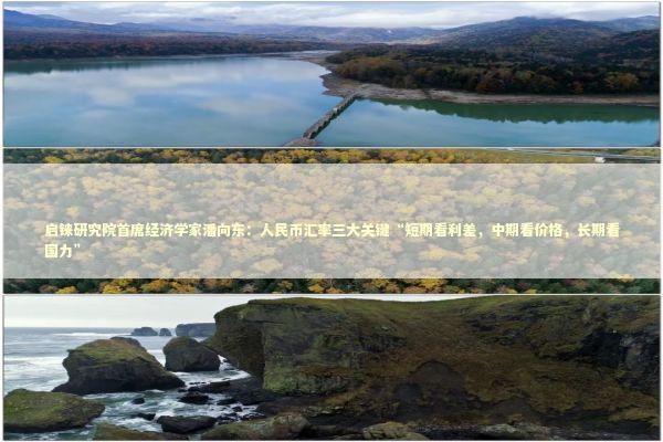 启铼研究院首席经济学家潘向东：人民币汇率三大关键“短期看利差，中期看价格，长期看国力” 新闻