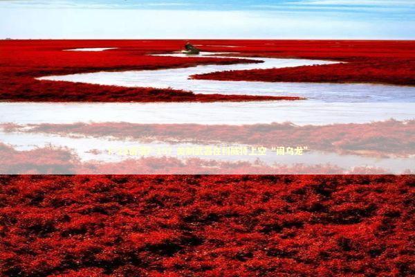 F-18击落F-15？美制武器在科威特上空“闹乌龙” 新闻